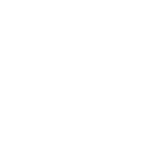 Citilink